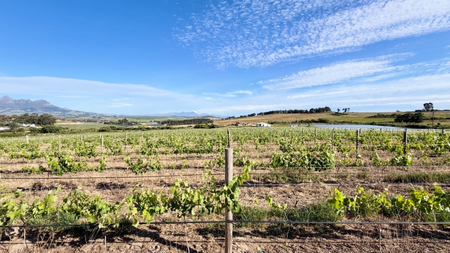 Commercial Property for Sale in Stellenbosch Farms Western Cape